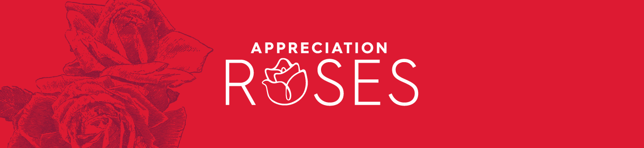 Appreciation Roses